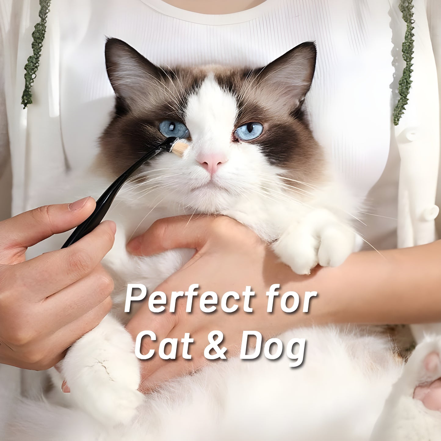 Pet Tear Stain Remover Brush